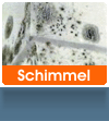 Schimmel
